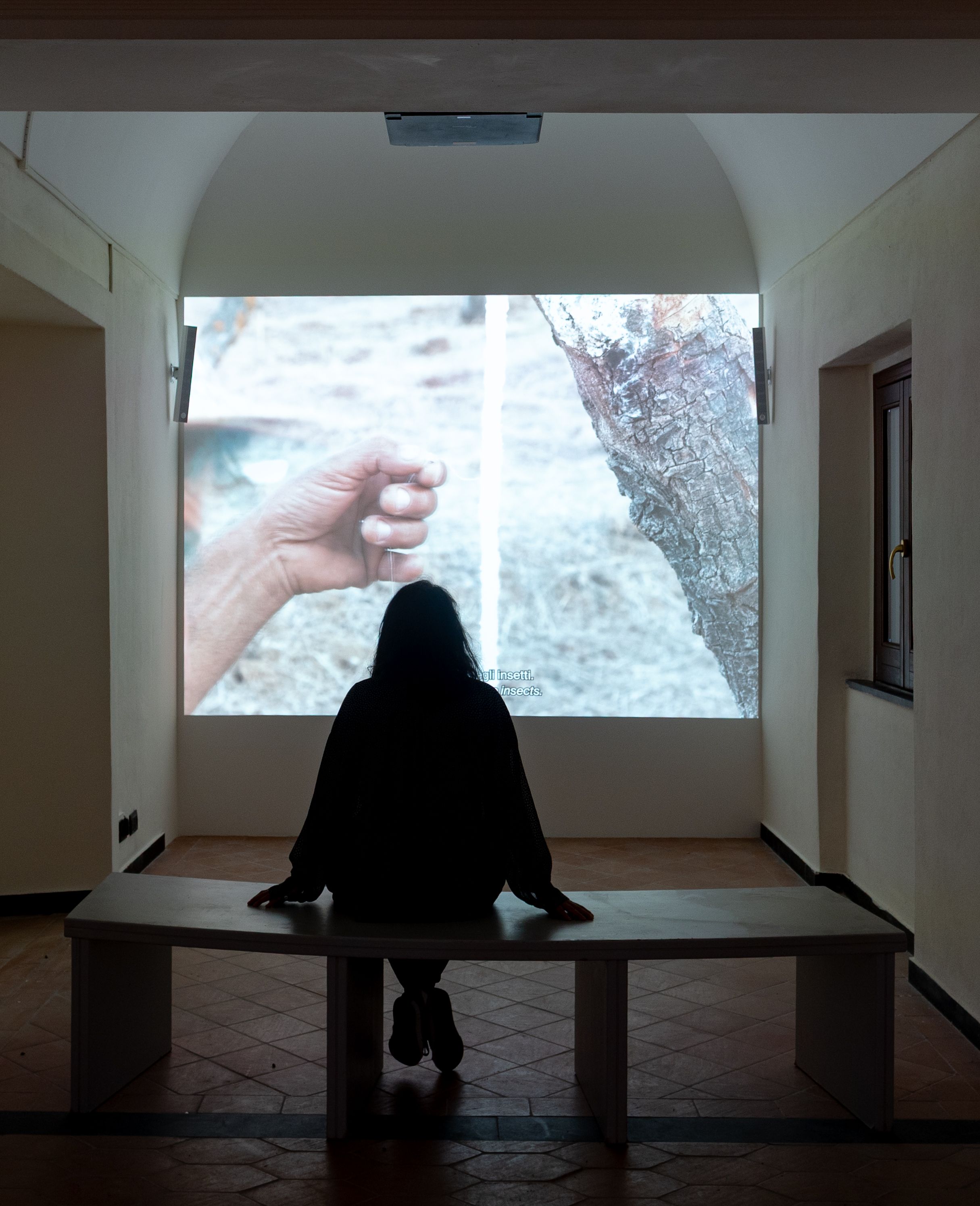 null - Diorami Digitali: null | Pietro Forino