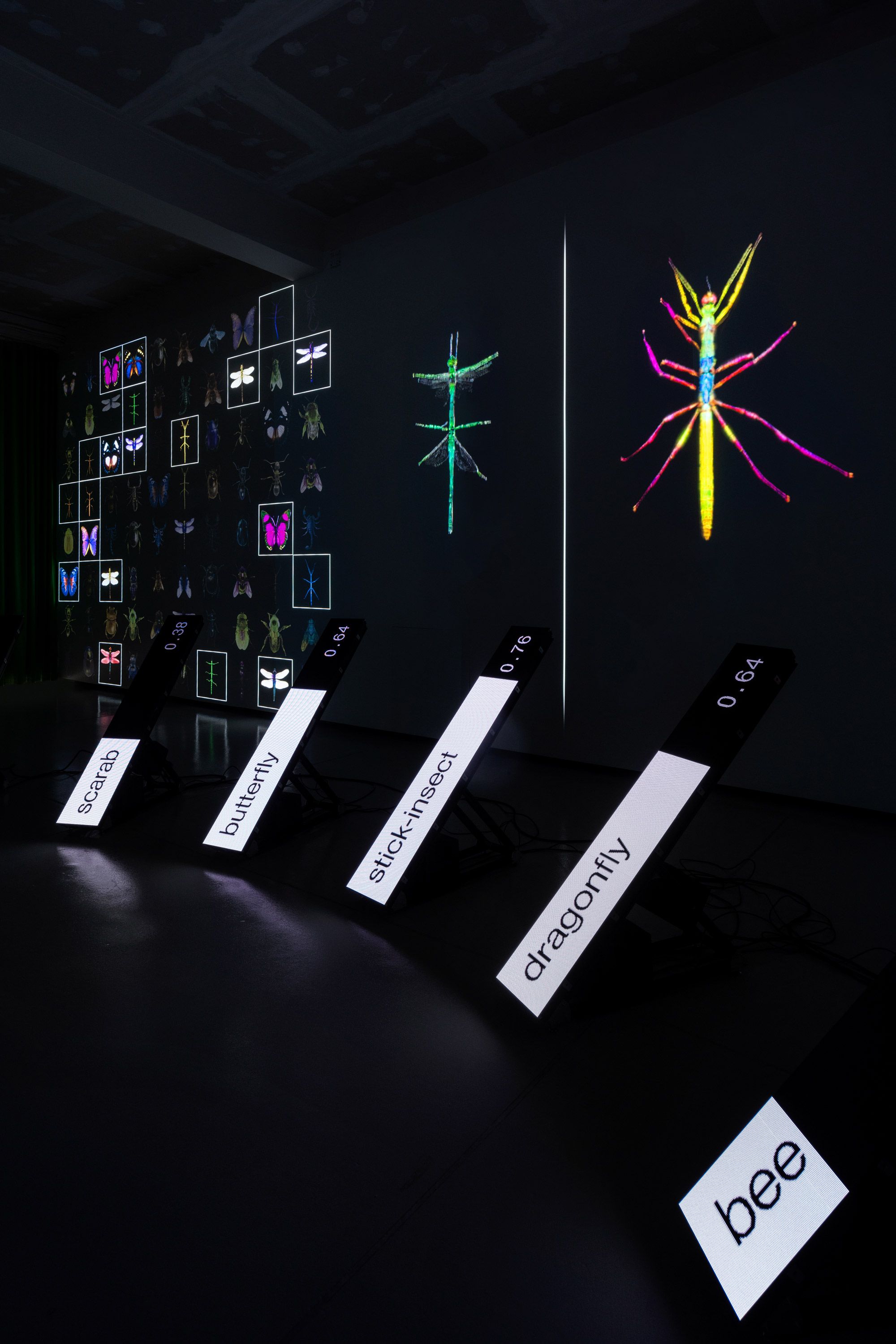 The installation - Data Bugs: AI is a Mirror | Pietro Forino