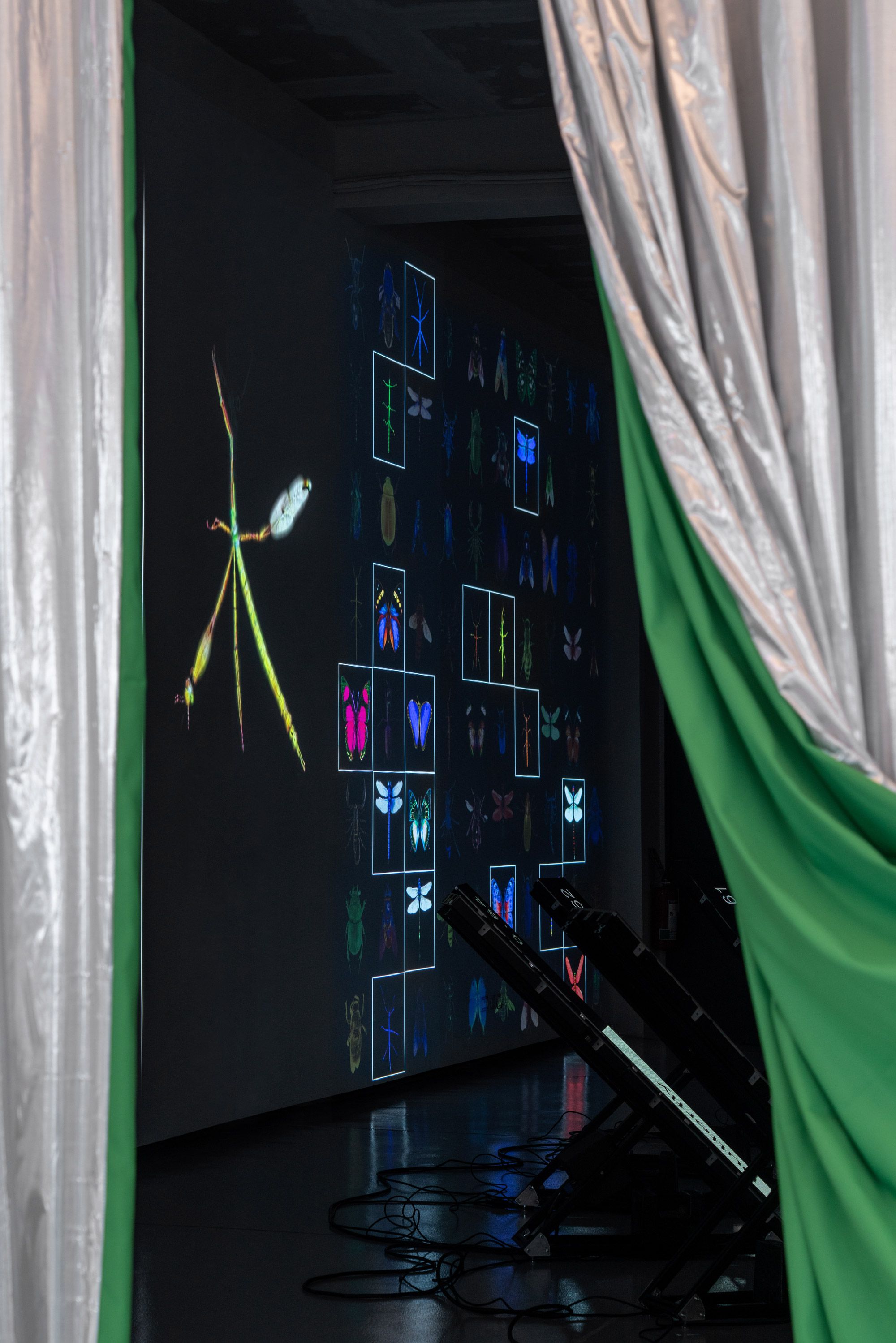 Glimpse of the installation - Data Bugs: AI is a Mirror | Pietro Forino