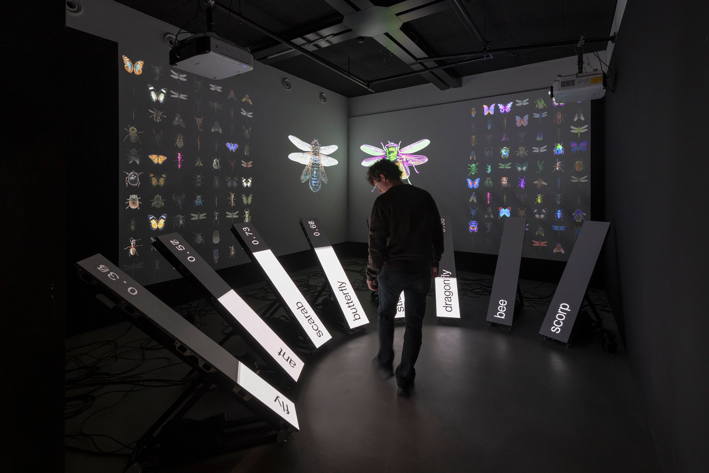 HEK: Ander Intelligenzen -  Dotdotdot Data Bugs AI is a mirror - Data Bugs: AI is a Mirror | Pietro Forino