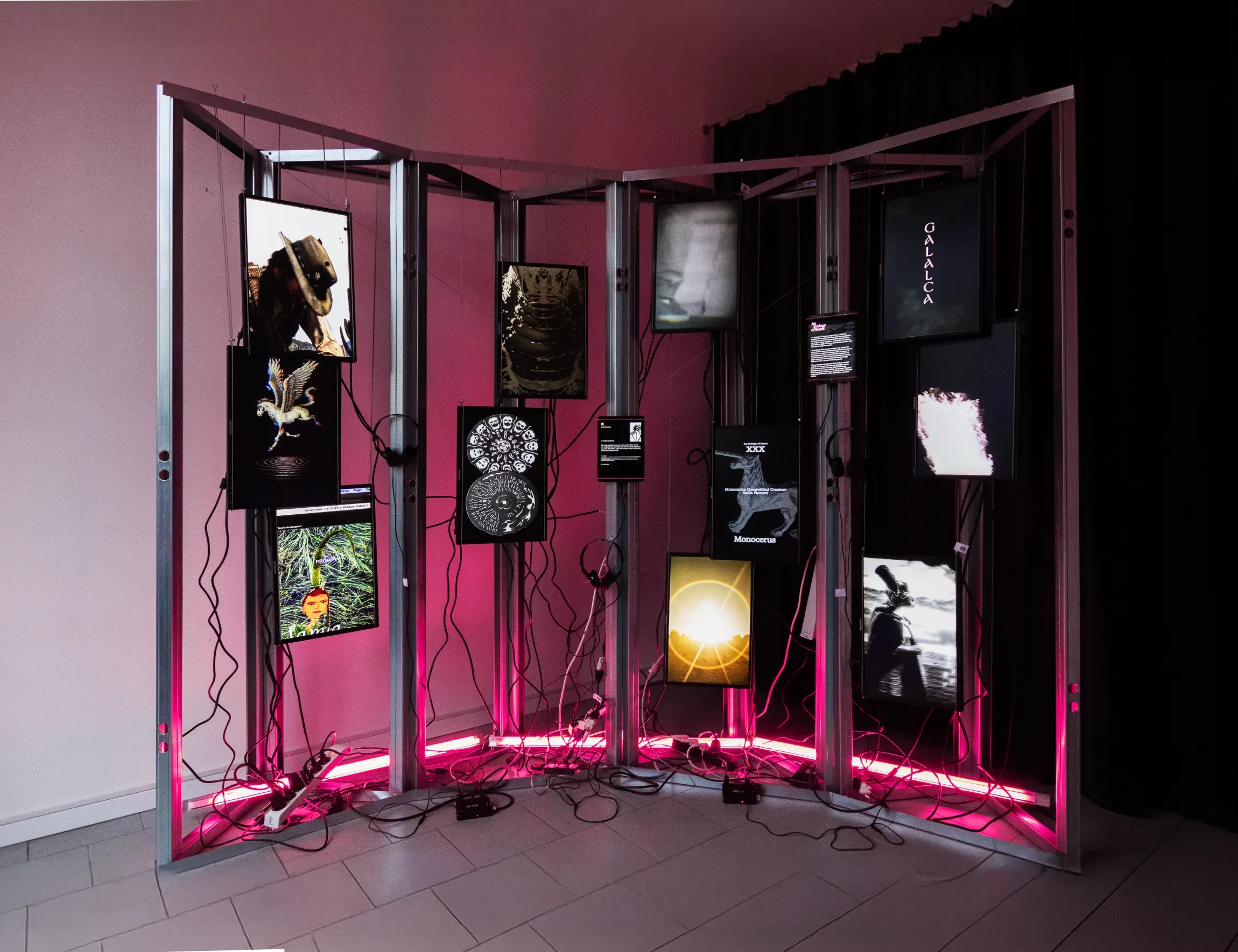 null - Common Index: An Ecology of Beasts | Pietro Forino