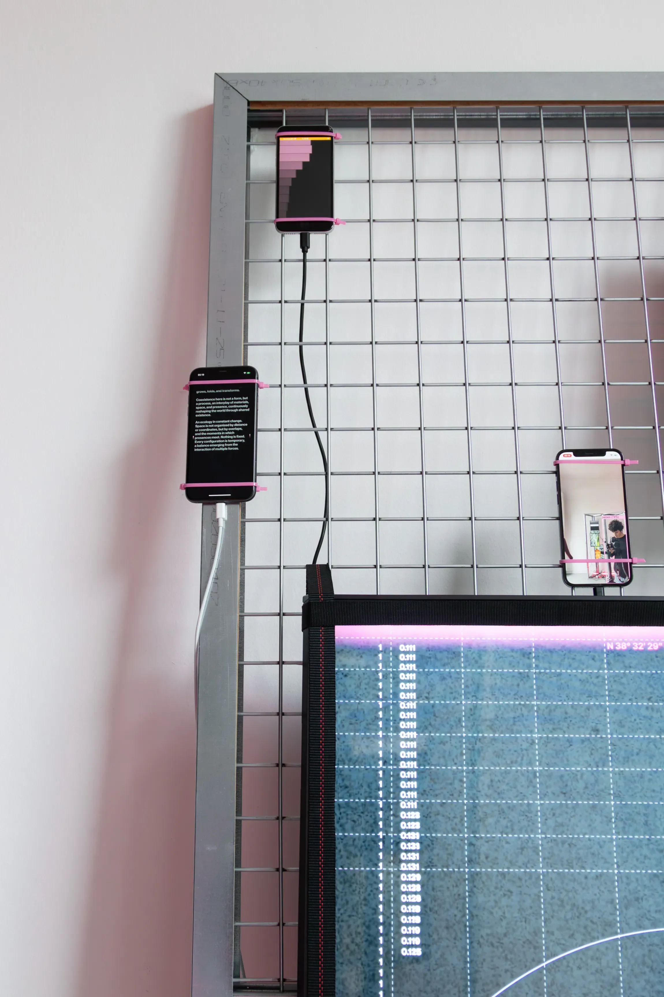 null - Common Index: An Ecology of Beasts | Pietro Forino