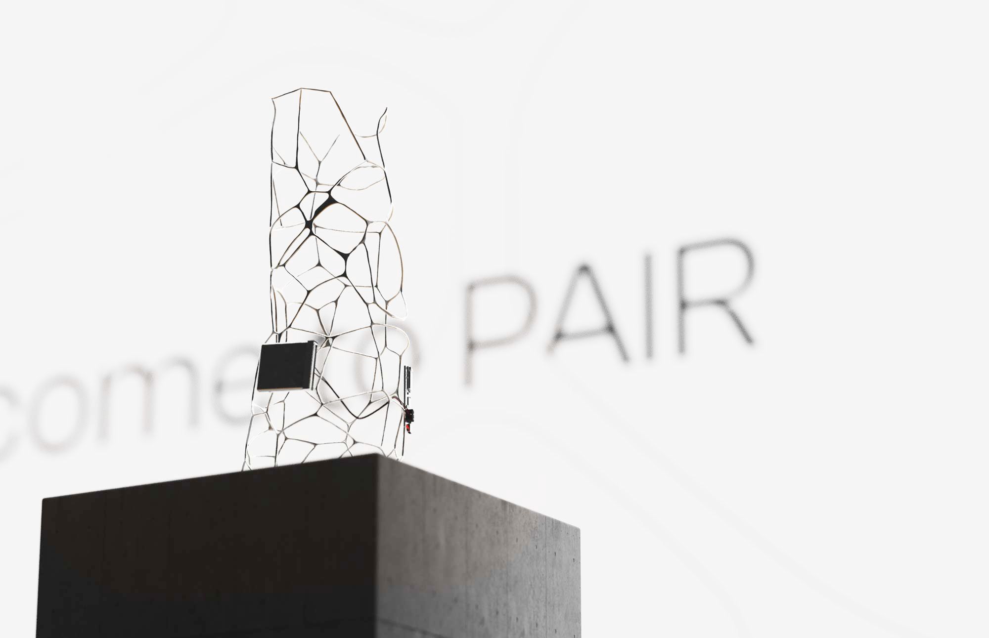 Pair: the final product able to read the user mood as meaning of interaction thanks to artificial intelligence