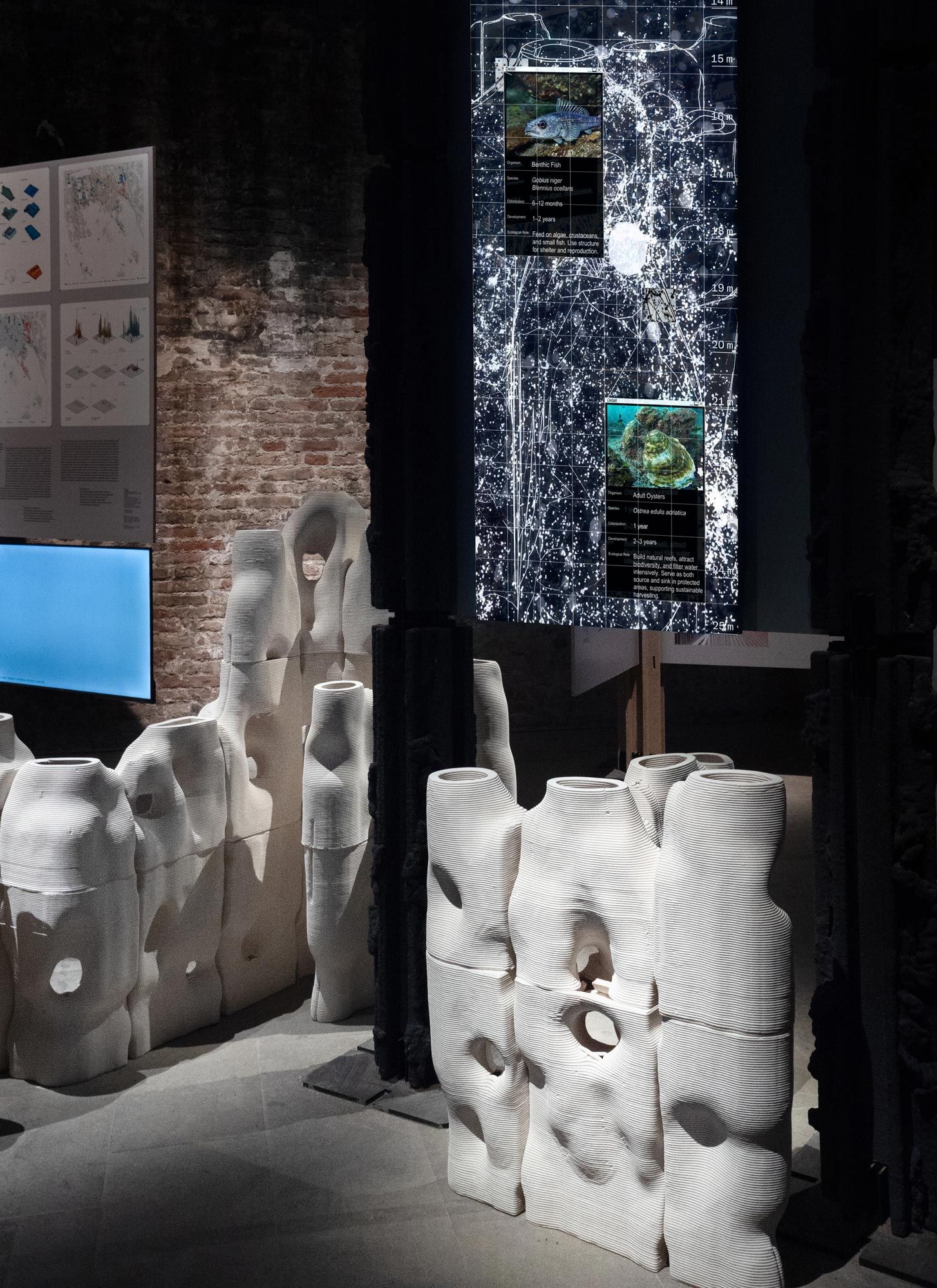 Sea Oasis displayed at Biennale 2025 curated by Carlo Ratti Associati - Sea Oasis: Survival architecture | Pietro Forino